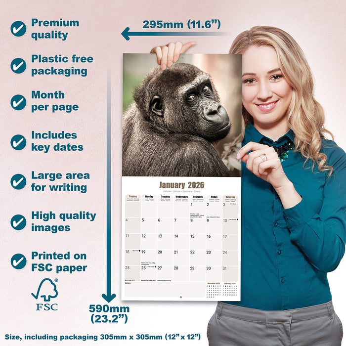 Apes 2026 Square Wall Calendar (Online Exclusive)