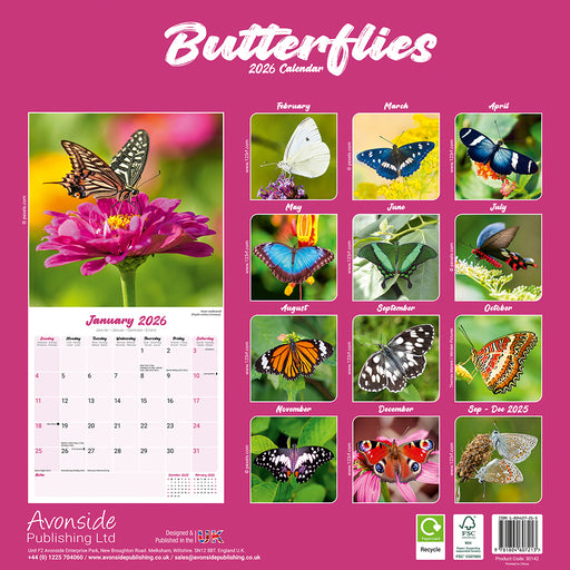 Butterflies 2026 Square Wall Calendar