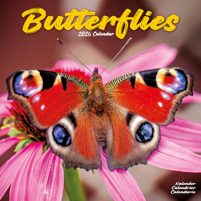 Butterflies 2026 Square Wall Calendar
