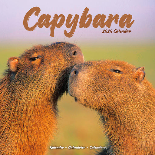Capybara 2026 Square Wall Calendar