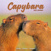 Capybara 2026 Square Wall Calendar