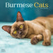 Burmese Cats 2026 Square Wall Calendar