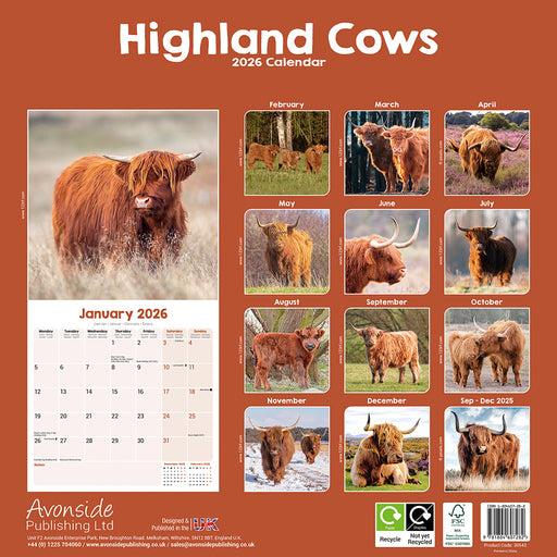 Highland Cows 2026 Square Wall Calendar