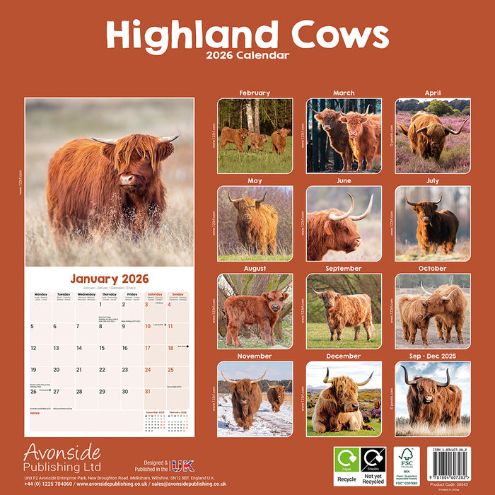 Highland Cows 2026 Square Wall Calendar