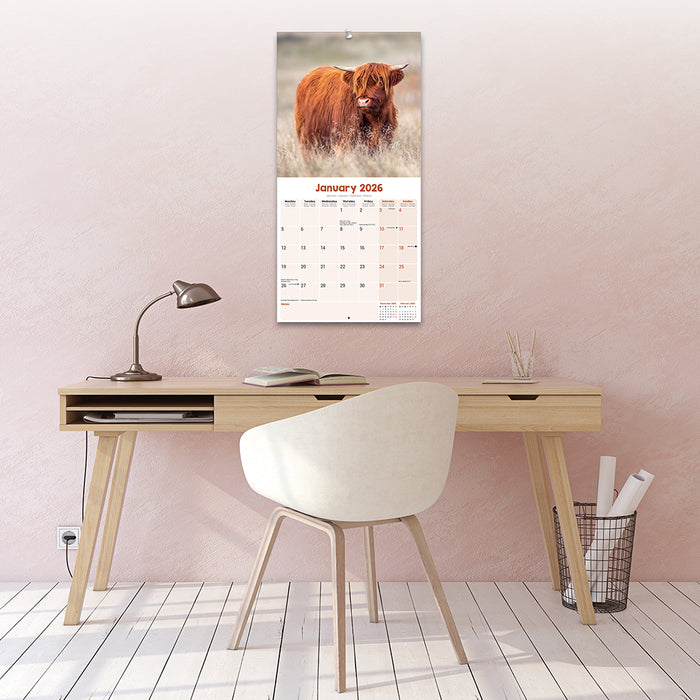 Highland Cows 2026 Square Wall Calendar