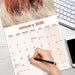 Highland Cows 2026 Square Wall Calendar