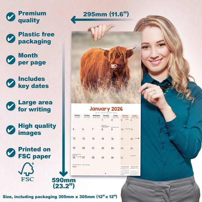 Highland Cows 2026 Square Wall Calendar