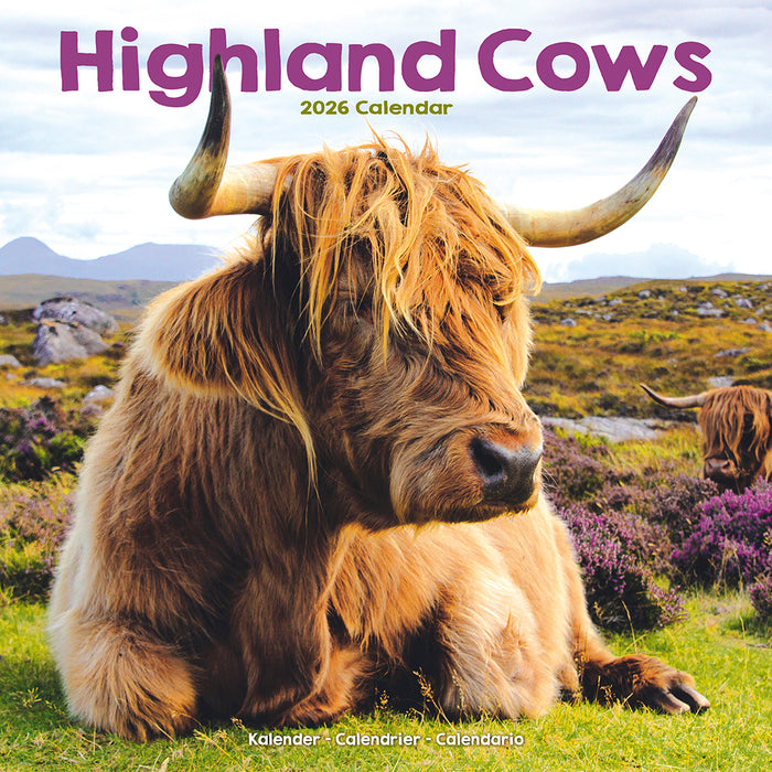 Highland Cows 2026 Square Wall Calendar