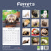 Ferrets 2026 Square Wall Calendar (Online Exclusive)