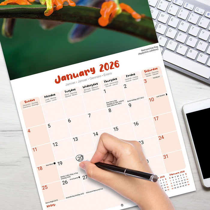 Frogs 2026 Square Wall Calendar