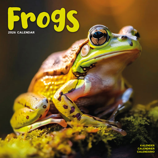 Frogs 2026 Square Wall Calendar