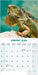 Lizards 2026 Square Wall Calendar