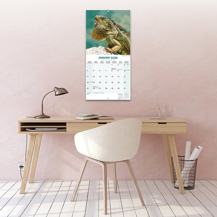 Lizards 2026 Square Wall Calendar