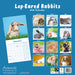 Rabbits Lop Eared 2026 Square Wall Calendar