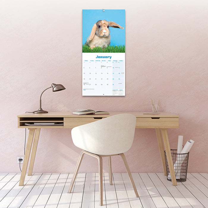 Rabbits Lop Eared 2026 Square Wall Calendar