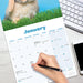 Rabbits Lop Eared 2026 Square Wall Calendar