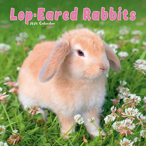 Rabbits Lop Eared 2026 Square Wall Calendar