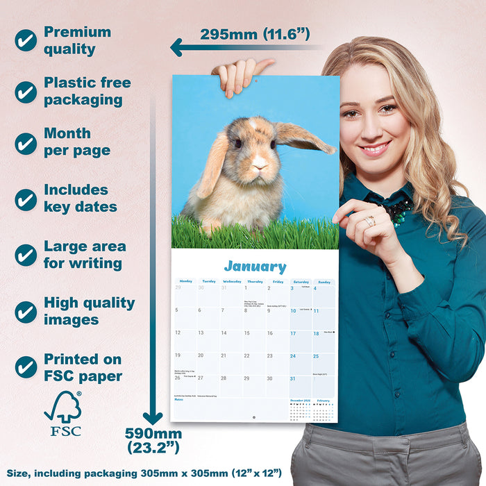 Rabbits Lop Eared 2026 Square Wall Calendar
