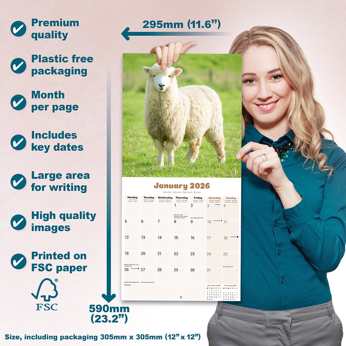 Sheep 2026 Square Wall Calendar (Online Exclusive)