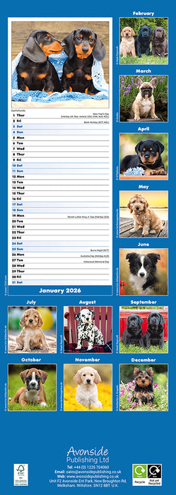 Puppies 2026 Slimline Wall Calendar