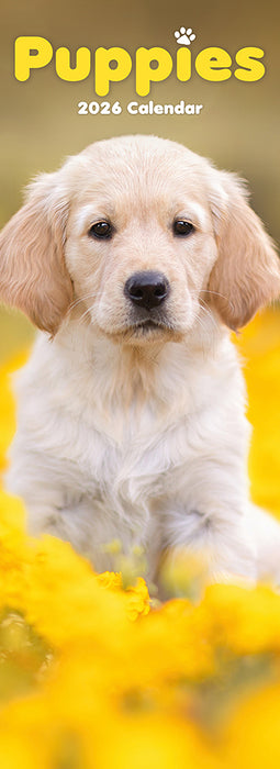 Puppies 2026 Slimline Wall Calendar
