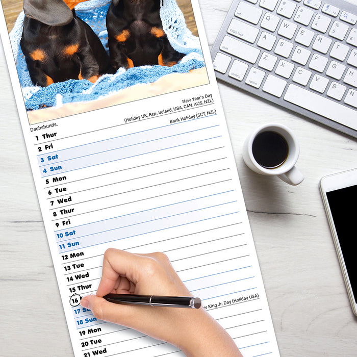 Puppies 2026 Slimline Wall Calendar