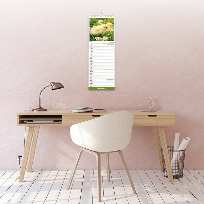 Chickens 2026 Slimline Wall Calendar