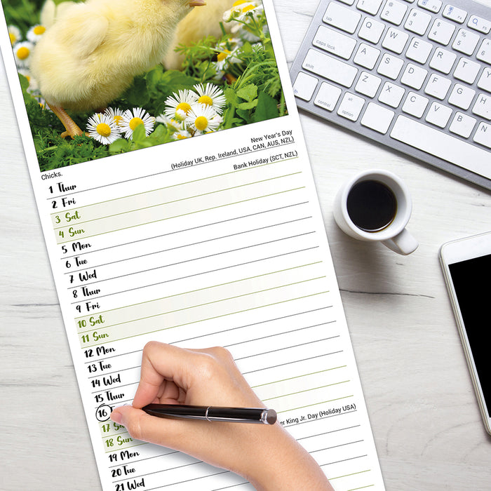 Chickens 2026 Slimline Wall Calendar