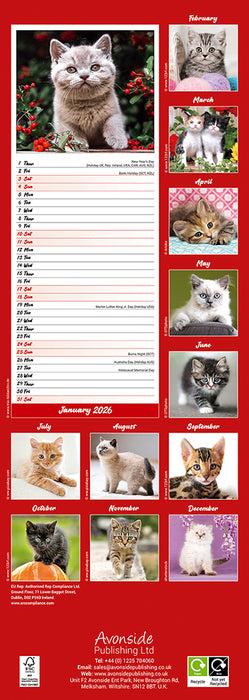 Kittens 2026 Slimline Wall Calendar