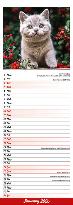 Kittens 2026 Slimline Wall Calendar