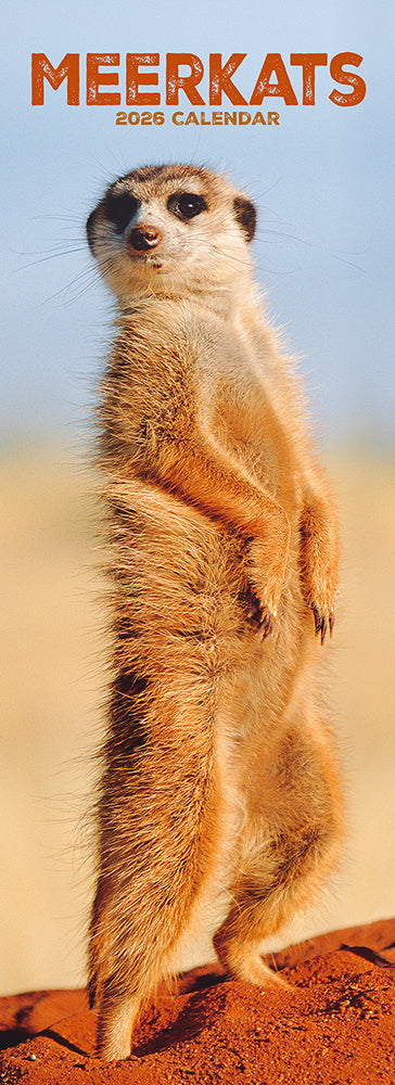 Meerkats 2026 Slimline Wall Calendar