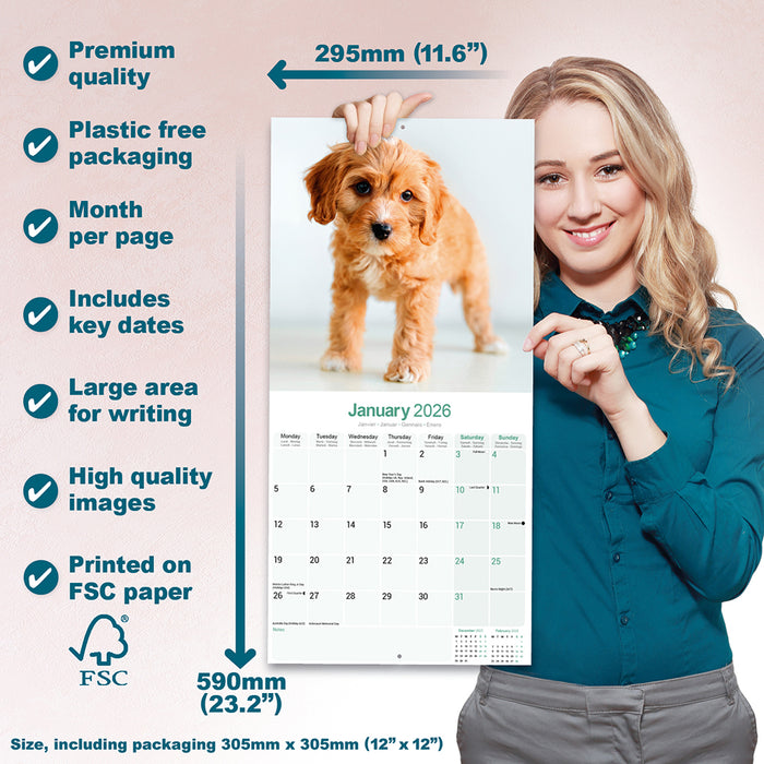 Cavoodle 2026 Square Wall Calendar