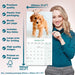 Cavoodle 2026 Square Wall Calendar