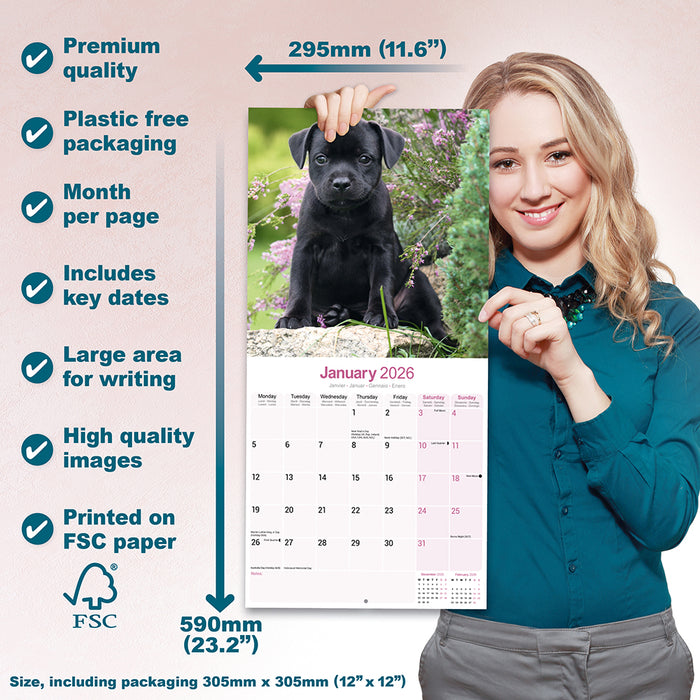Staffordshire Bull Terrier 2026 Square Wall Calendar