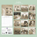 Friendship 2027 Square Wall Calendar (Online Exclusive)