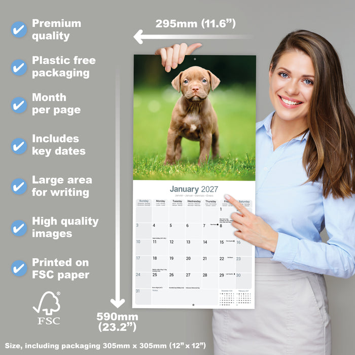 American Pit Bull Terrier 2027 Square Wall Calendar
