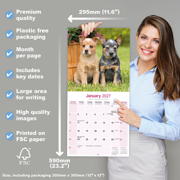 Australian Cattle Dog 2027 Square Wall Calendar