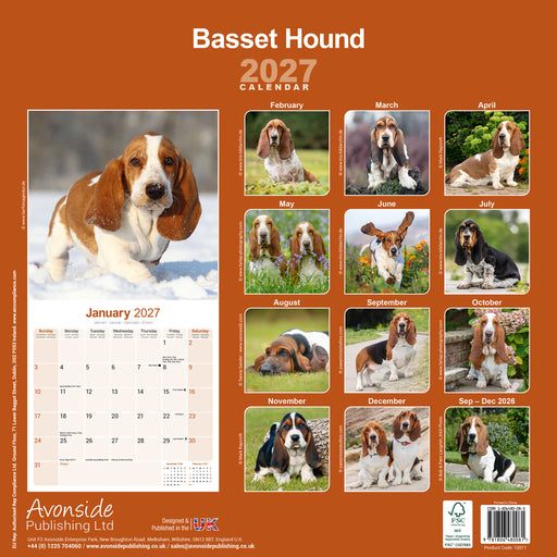 Basset Hound 2027 Square Wall Calendar