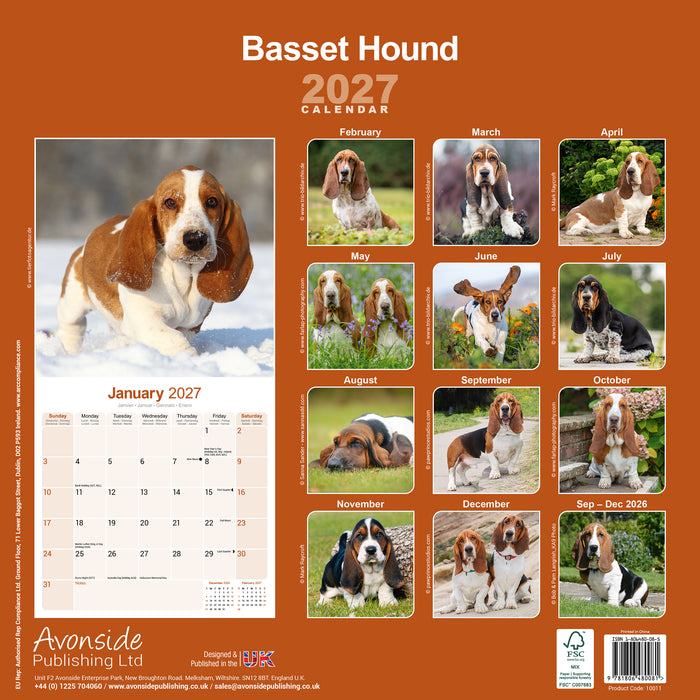 Basset Hound 2027 Square Wall Calendar