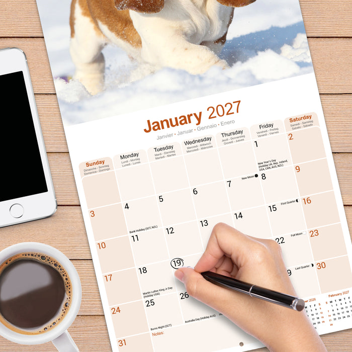 Basset Hound 2027 Square Wall Calendar