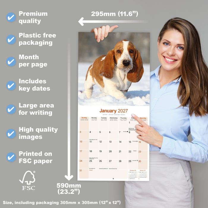 Basset Hound 2027 Square Wall Calendar