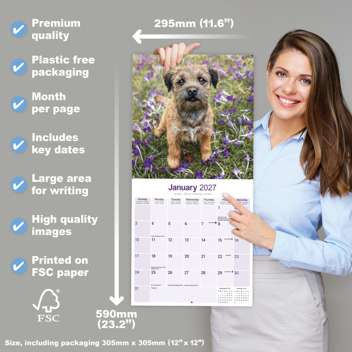 Border Terrier 2027 Square Wall Calendar