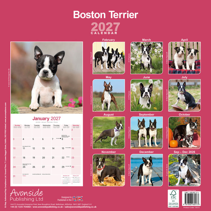 Boston Terrier 2027 Square Wall Calendar