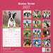 Boston Terrier 2027 Square Wall Calendar