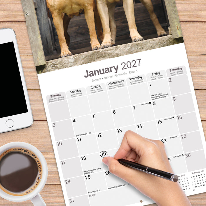 Bull Mastiff 2027 Square Wall Calendar