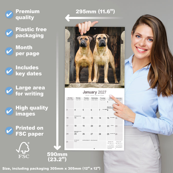 Bull Mastiff 2027 Square Wall Calendar