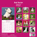 Bull Terrier 2027 Square Wall Calendar