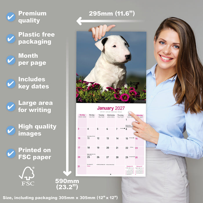 Bull Terrier 2027 Square Wall Calendar