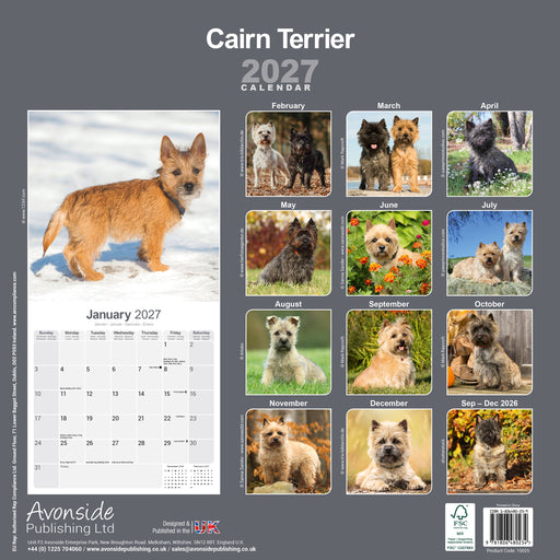 Cairn Terrier 2027 Square Wall Calendar