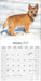 Cairn Terrier 2027 Square Wall Calendar